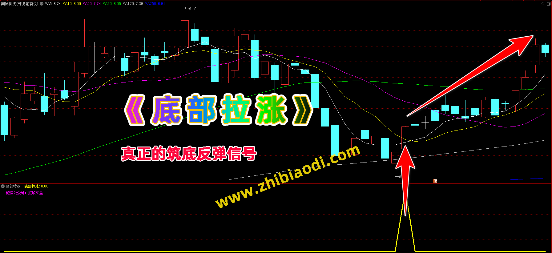 底部拉涨指标