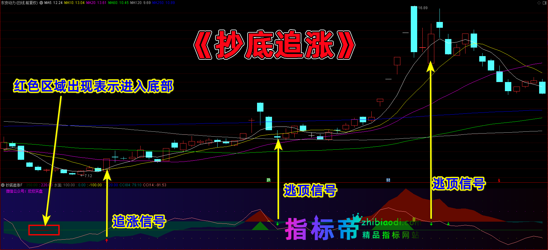 抄底追涨指标
