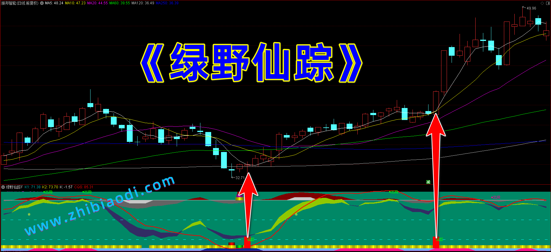 绿野仙踪指标