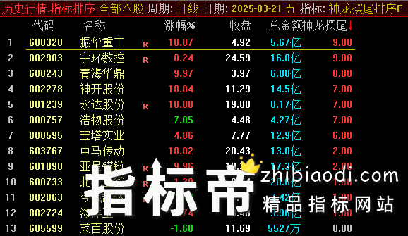 神龙摆尾早盘竞价排序指标