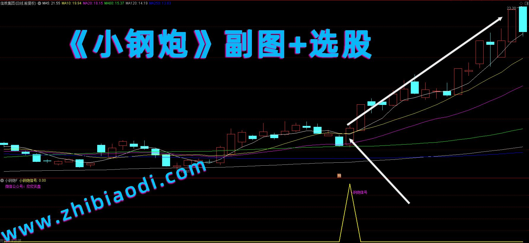 小钢炮指标