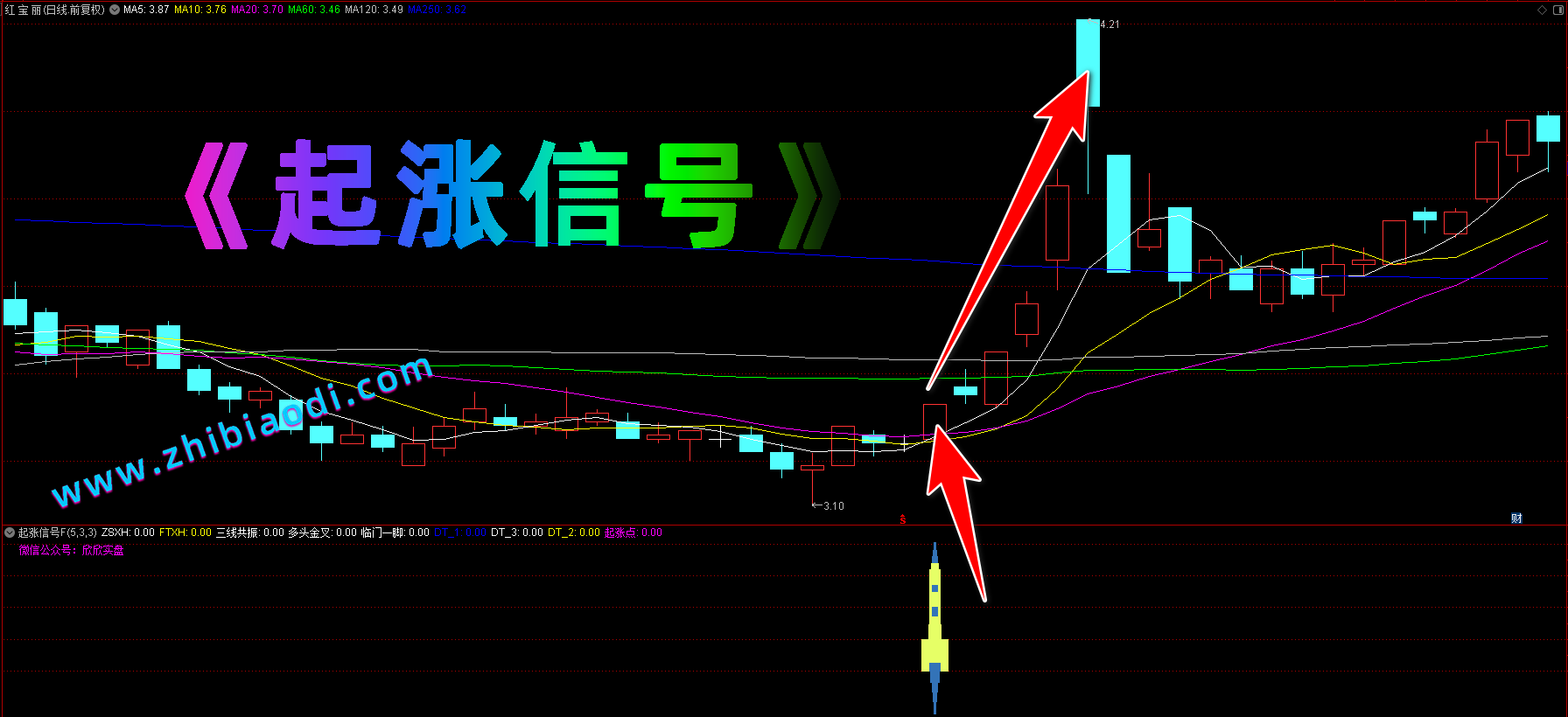 起涨信号指标
