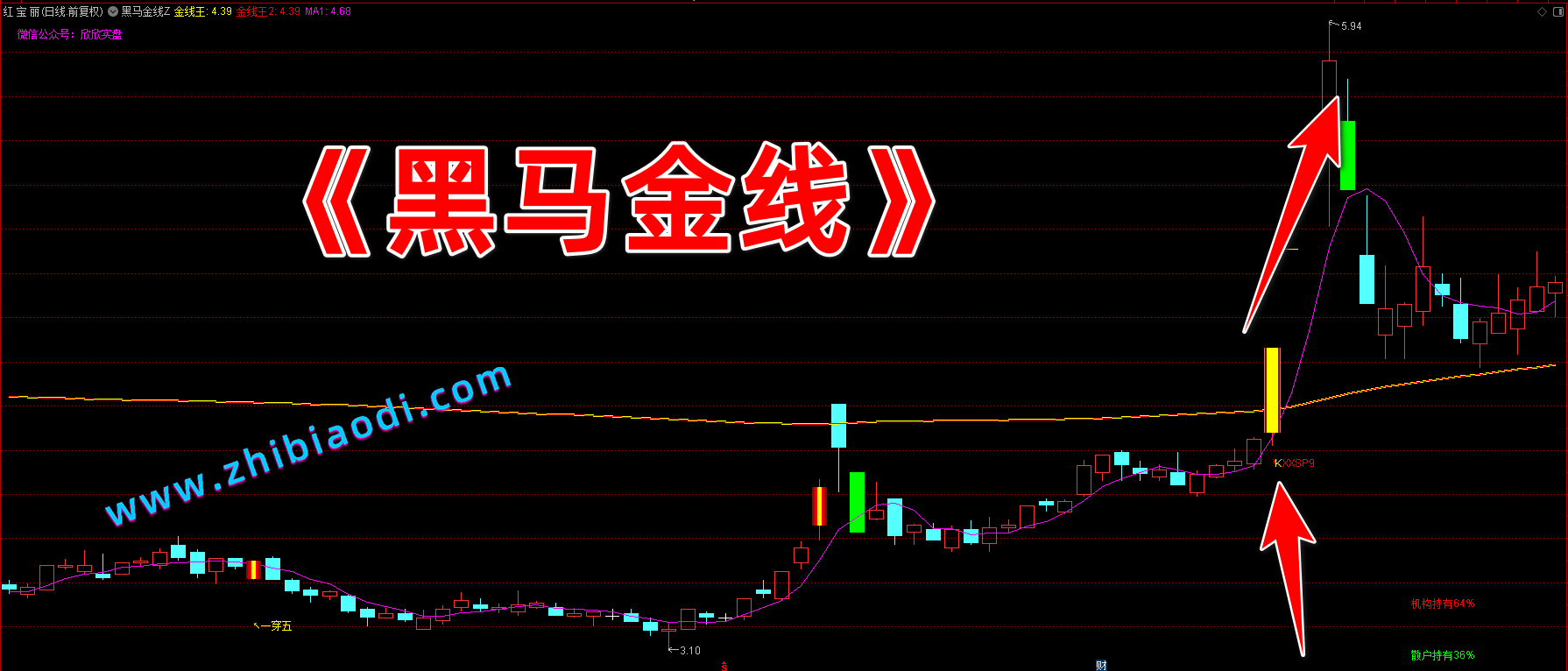 黑马金线指标
