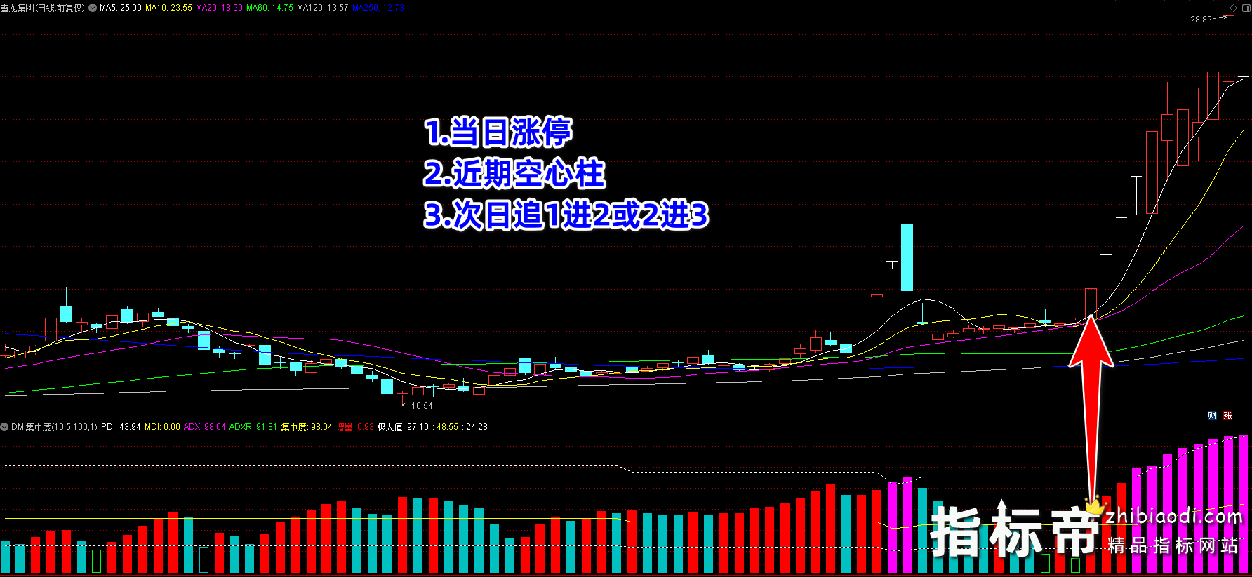 DMI集中度指标