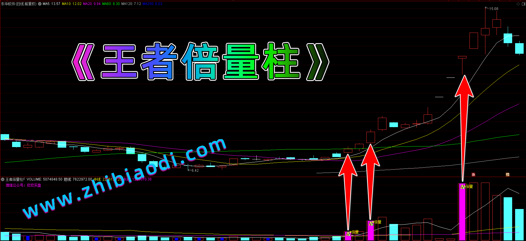 王者倍量柱指标