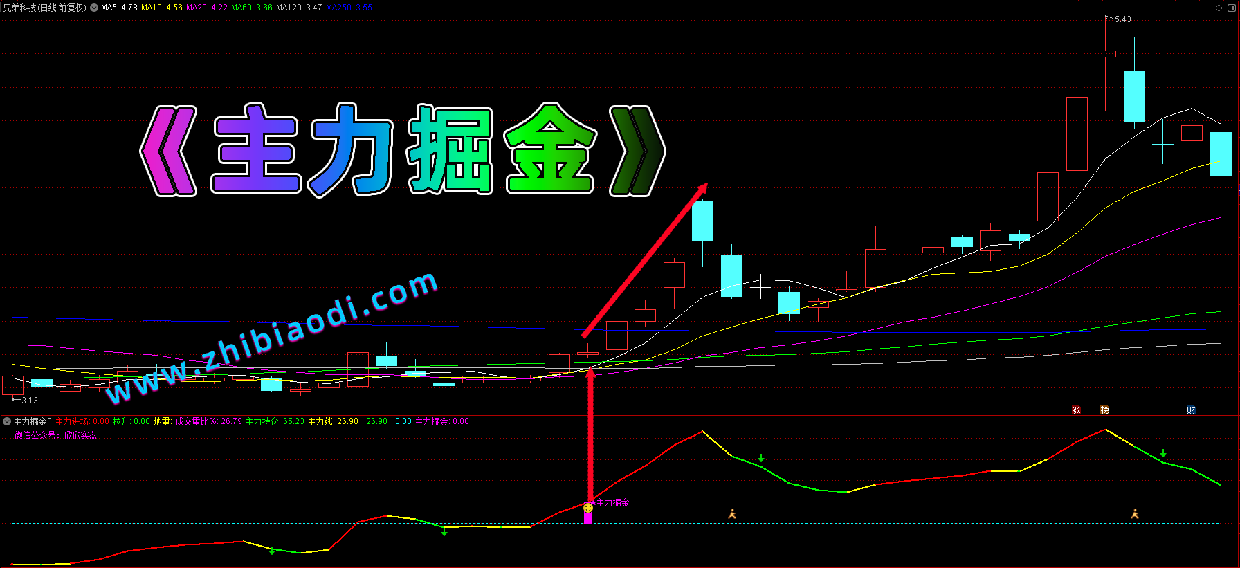 主力掘金指标