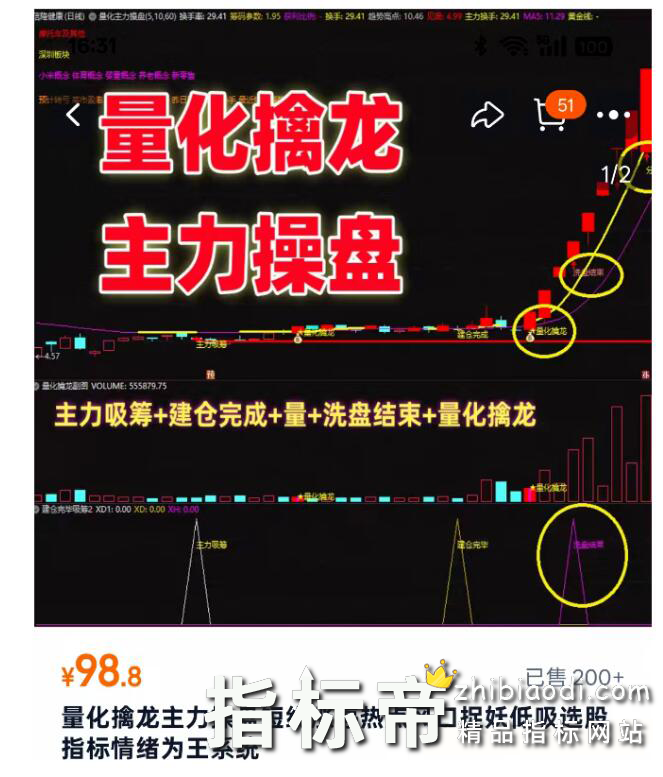 量化擒龙指标