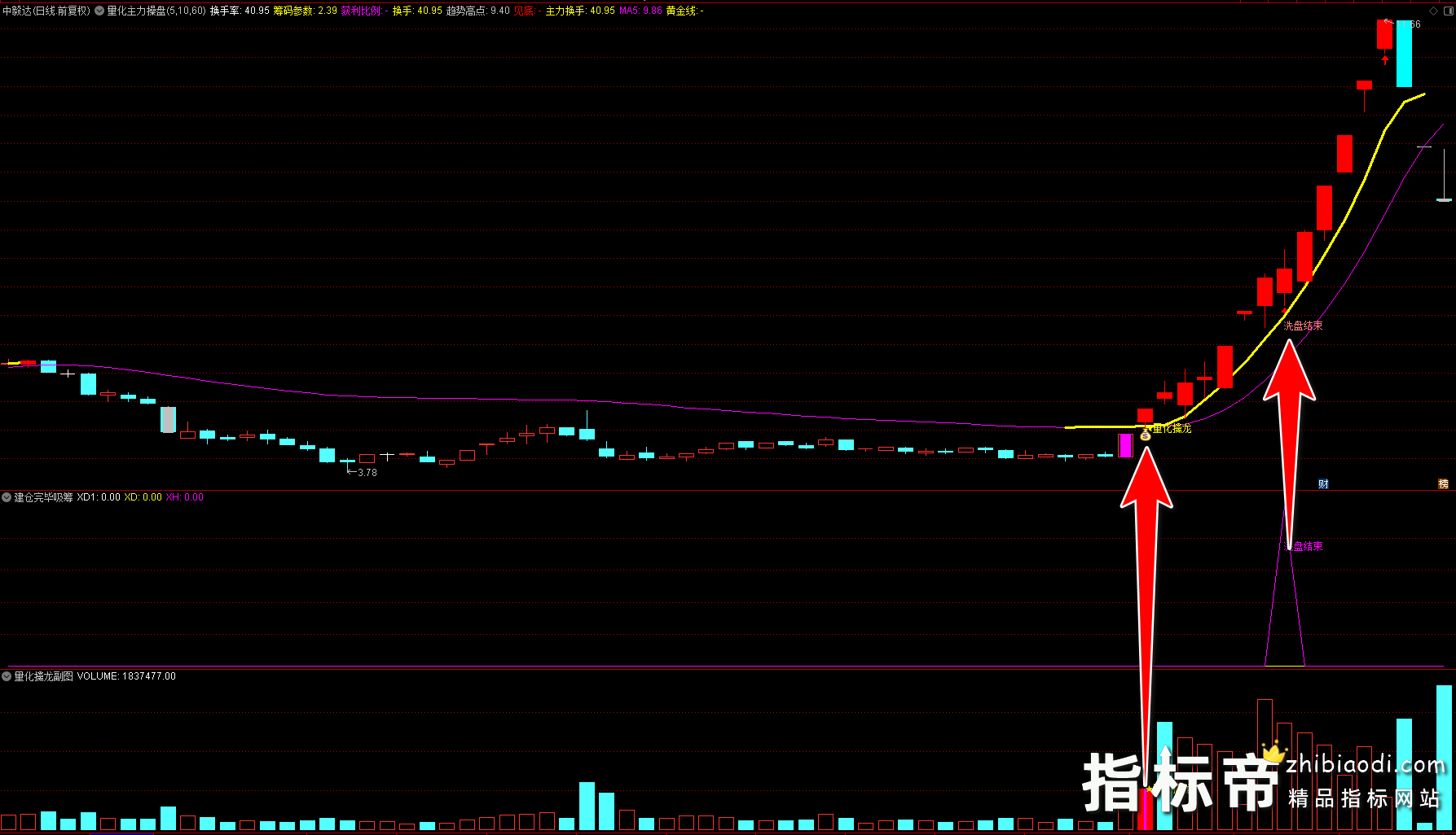 量化擒龙指标