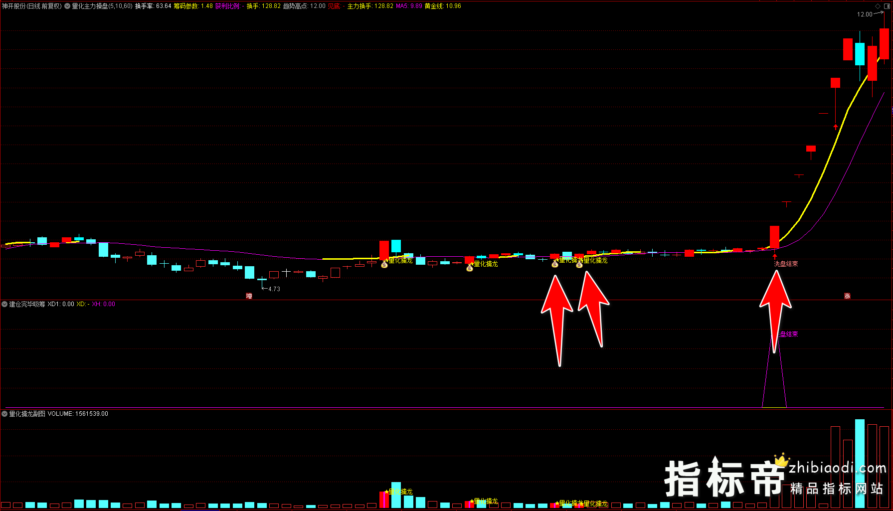 量化擒龙指标