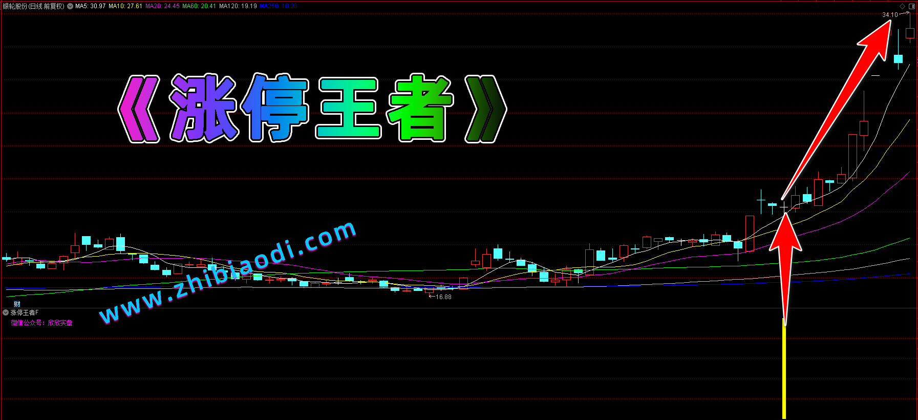 涨停王者指标