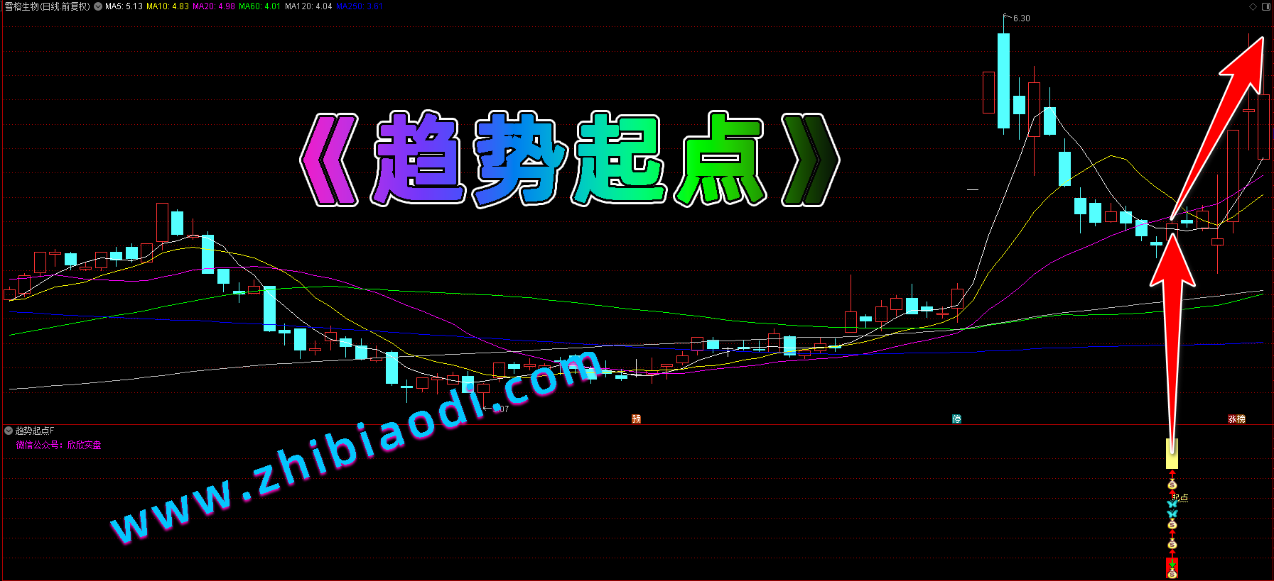 趋势起点指标