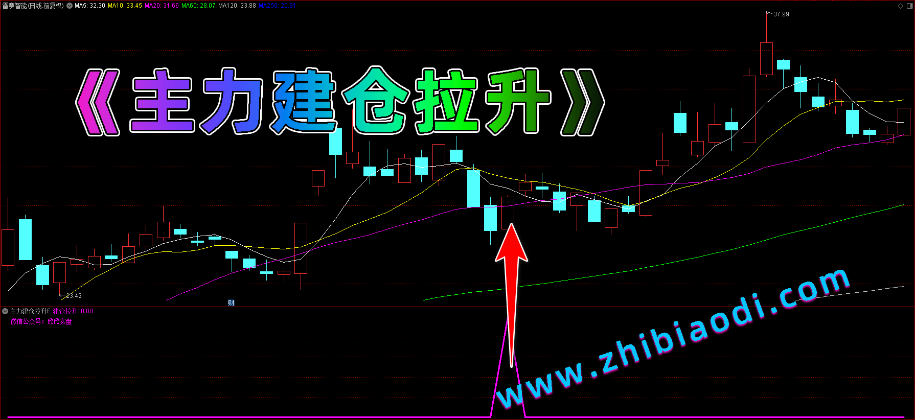 主力建仓拉升指标