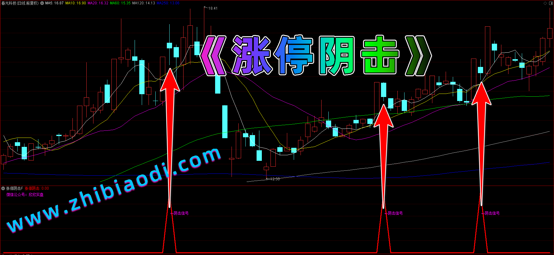 涨停阴击指标