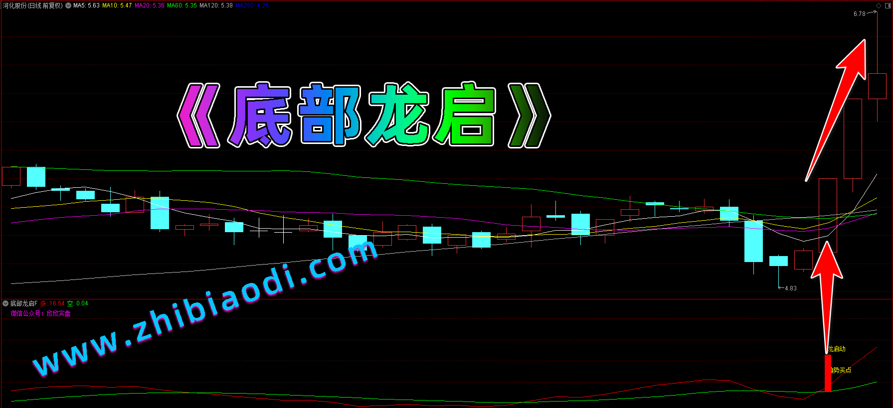 底部龙启指标