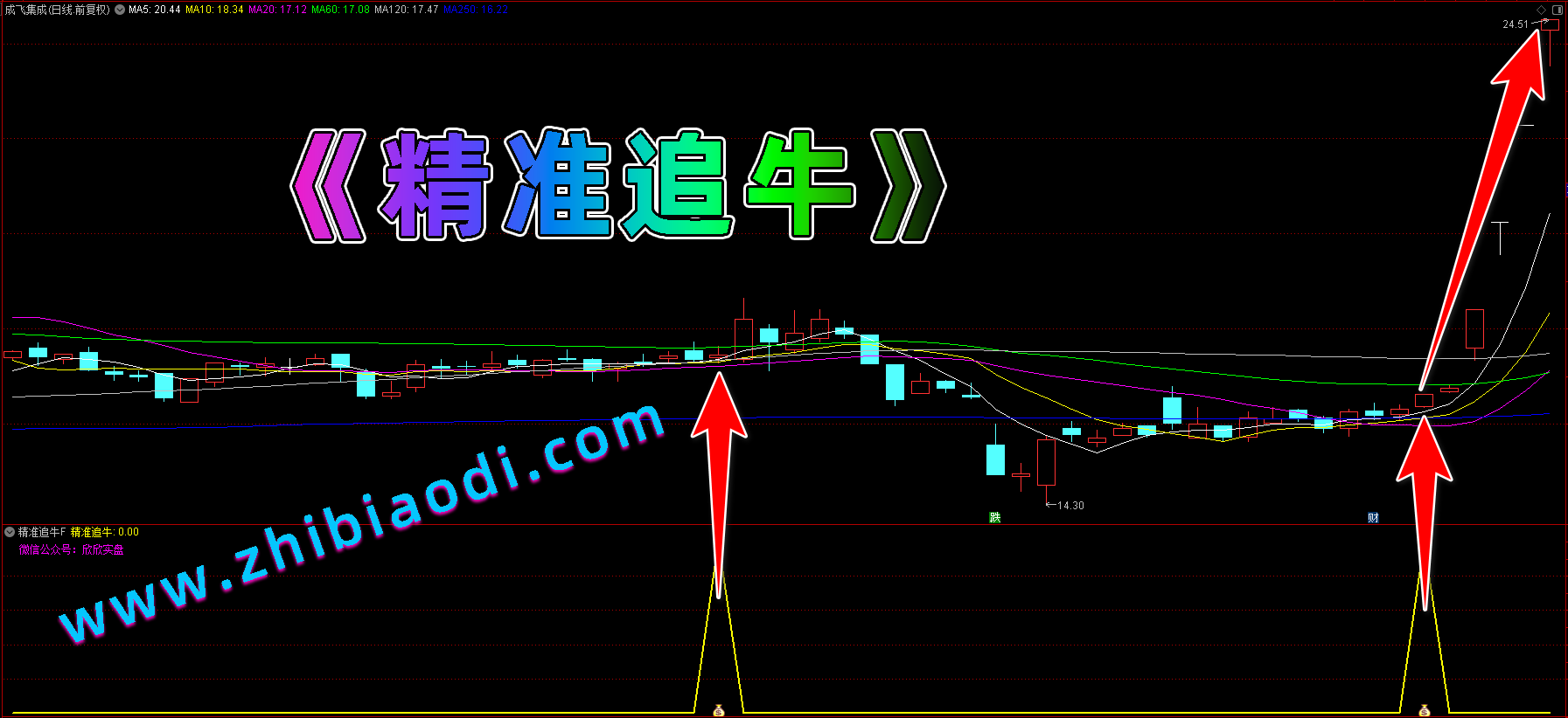 精准追牛指标
