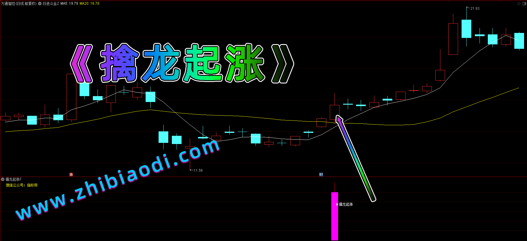 擒龙起涨指标