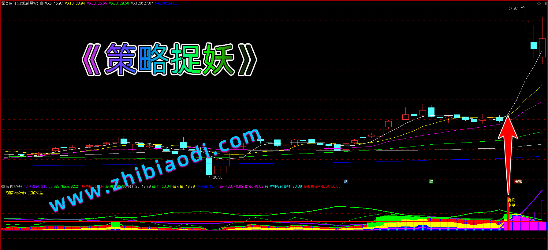 策略捉妖指标