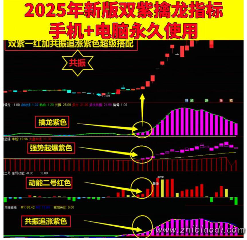 2025双紫擒龙指标
