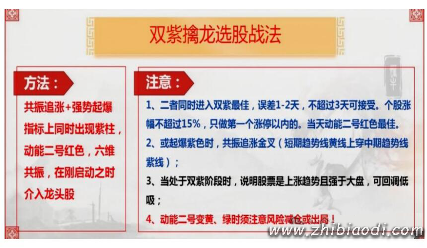 2025双紫擒龙指标