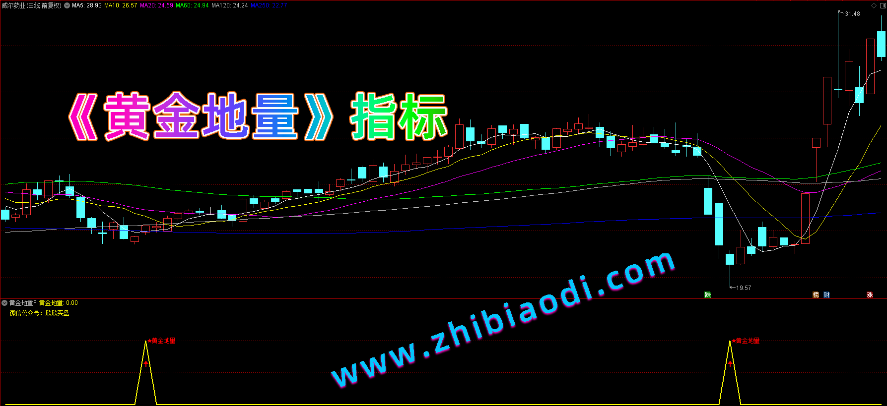 黄金地量指标