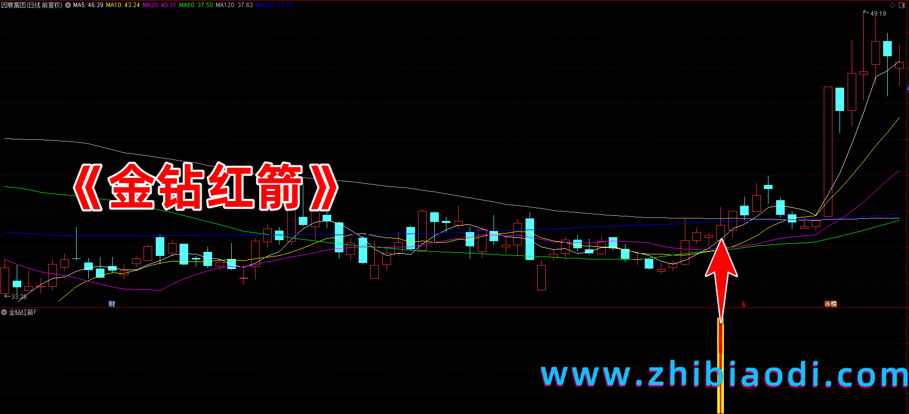 金钻红箭指标