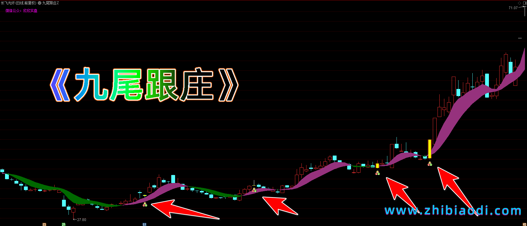 九尾跟庄指标