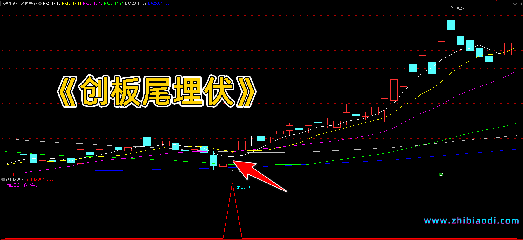 创板尾埋伏指标