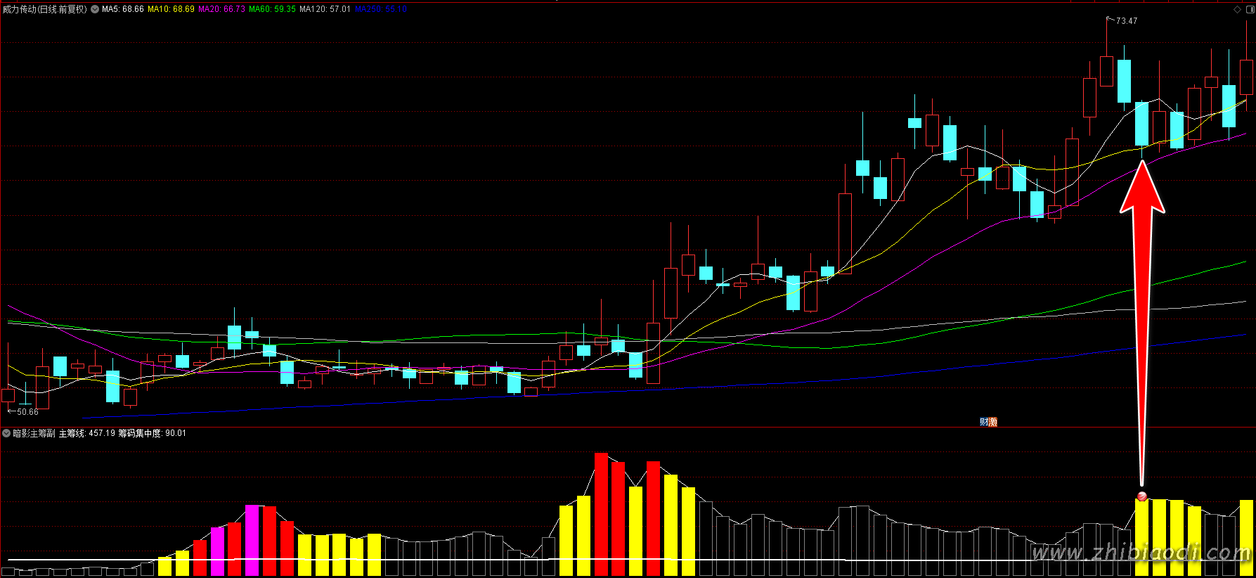 暗影主筹指标 暗影主筹指标