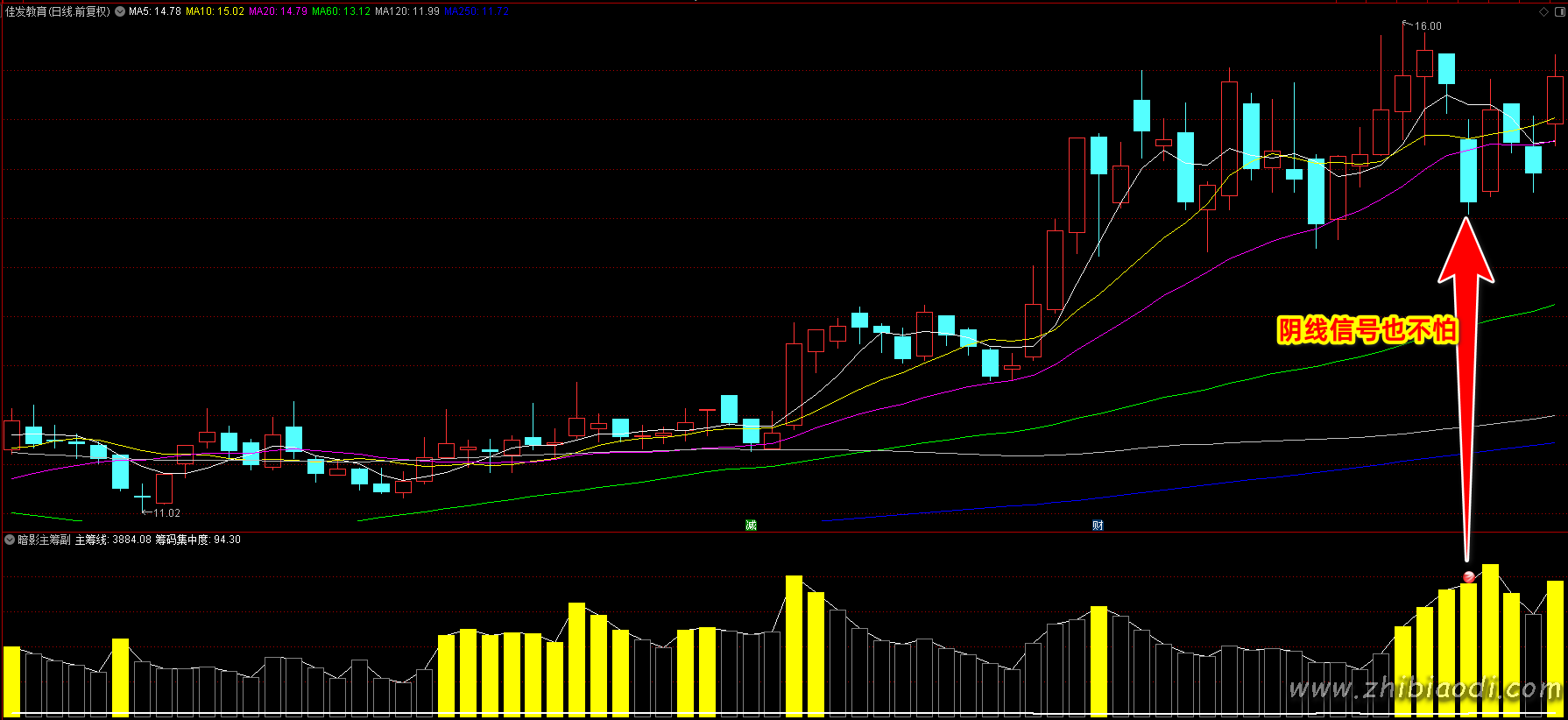 暗影主筹指标 暗影主筹指标