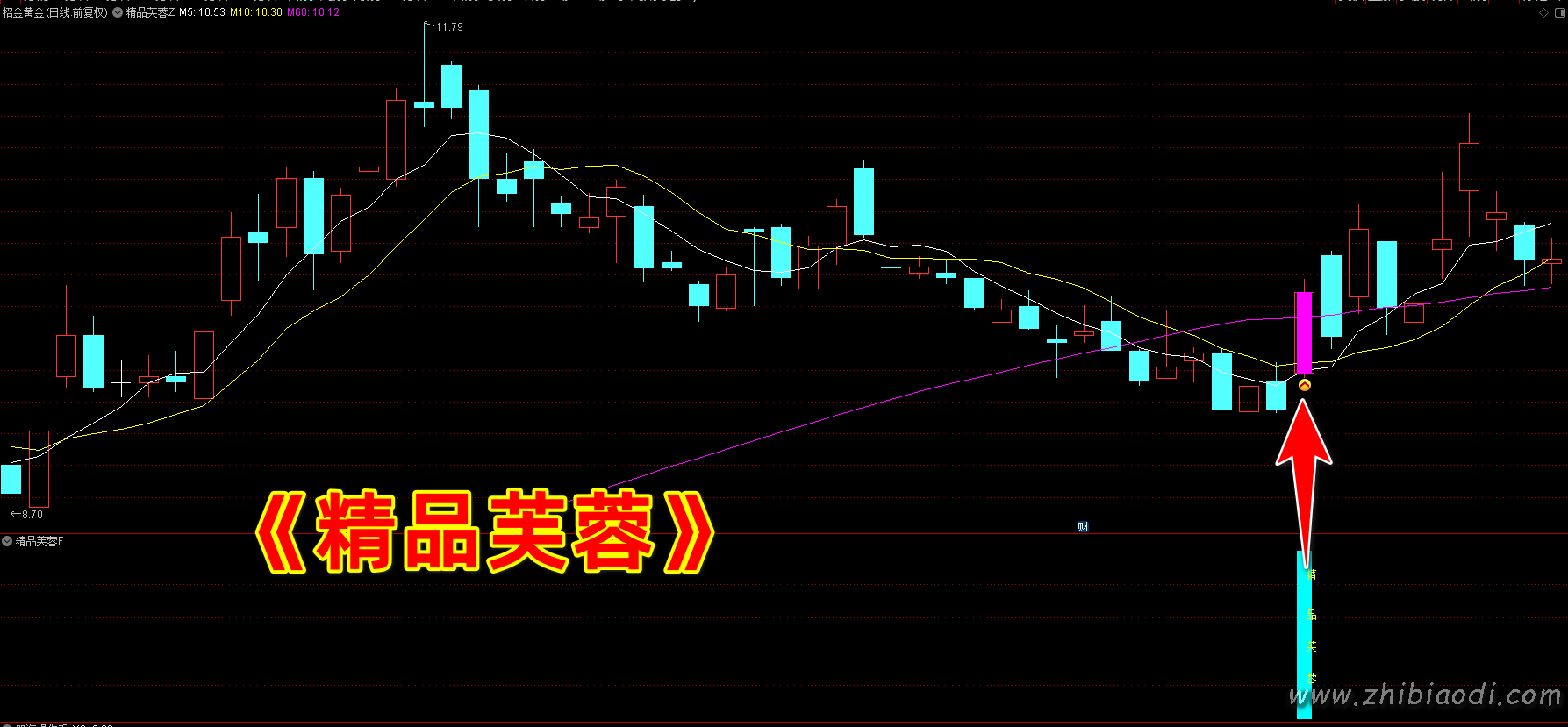 精品芙蓉指标 精品芙蓉指标