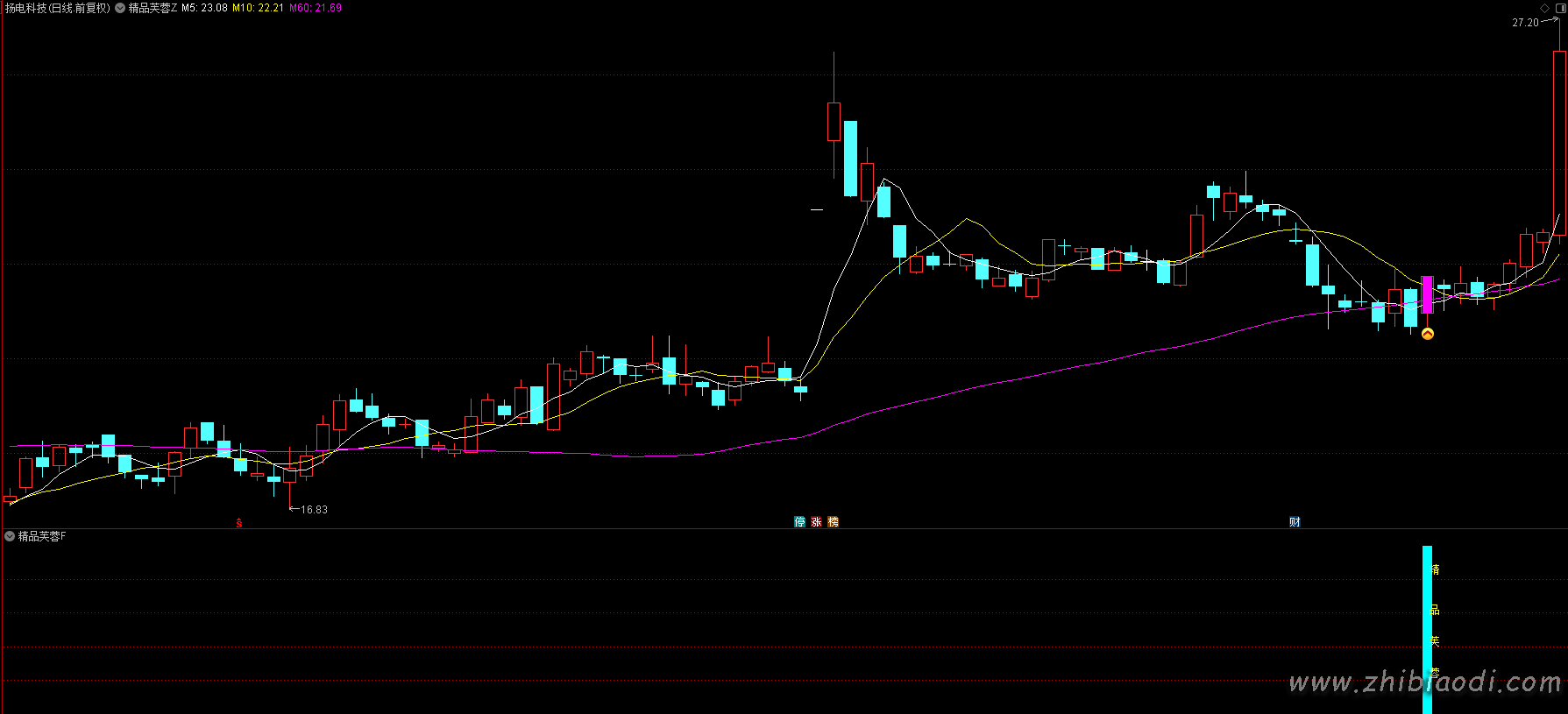 精品芙蓉指标 精品芙蓉指标