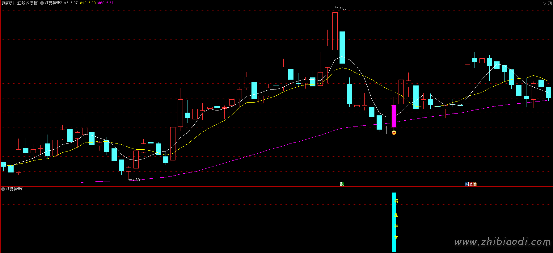 精品芙蓉指标 精品芙蓉指标