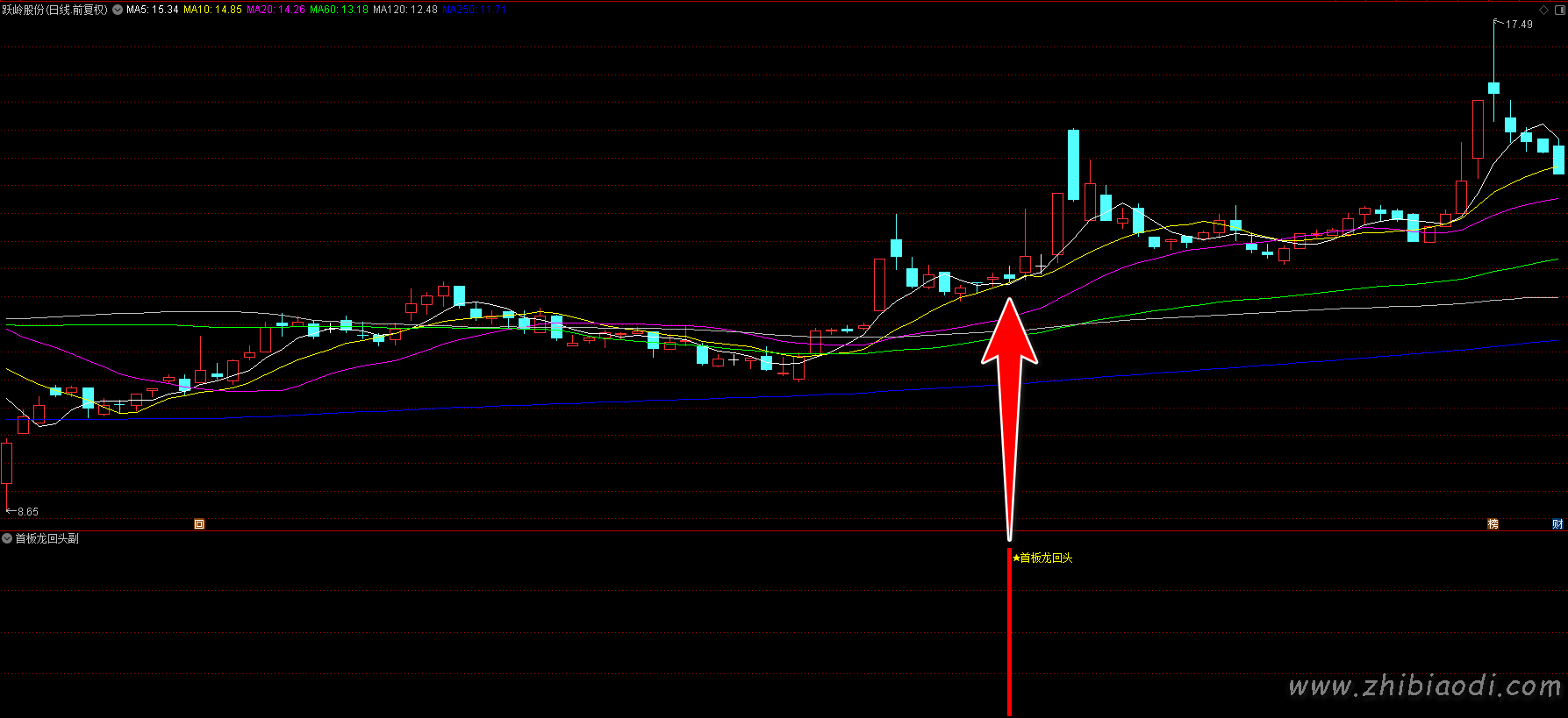 首板龙回头指标