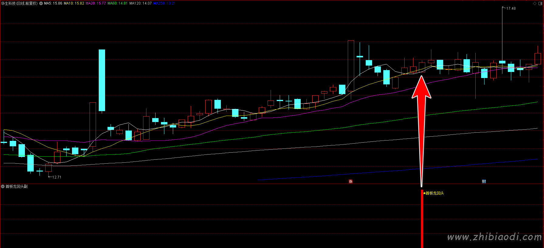 首板龙回头指标
