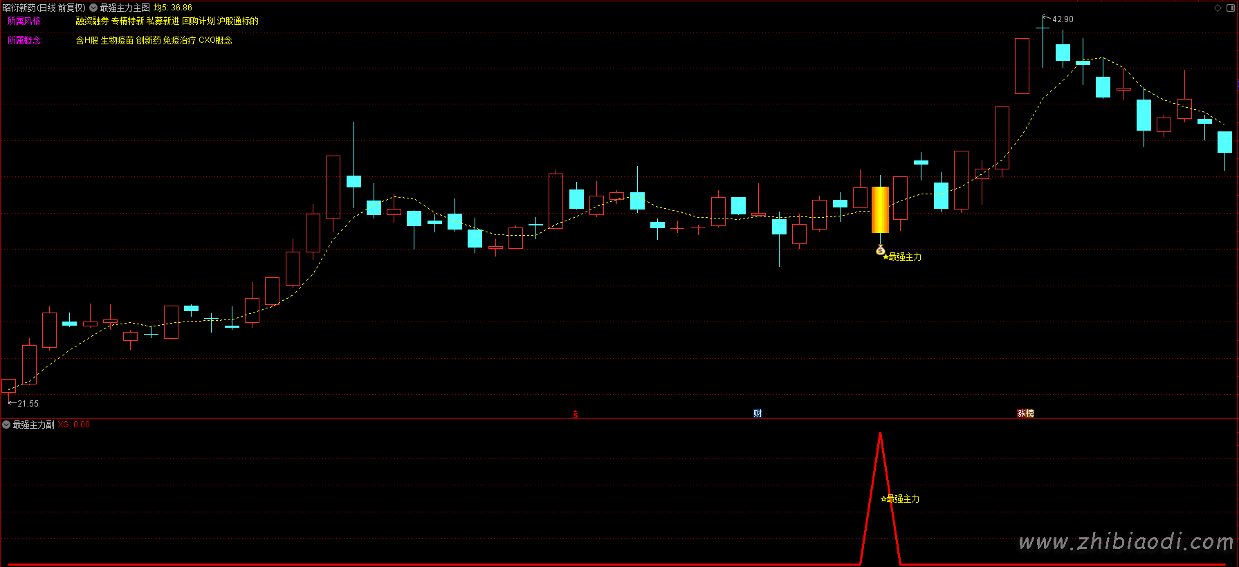 最强主力指标 最强主力指标