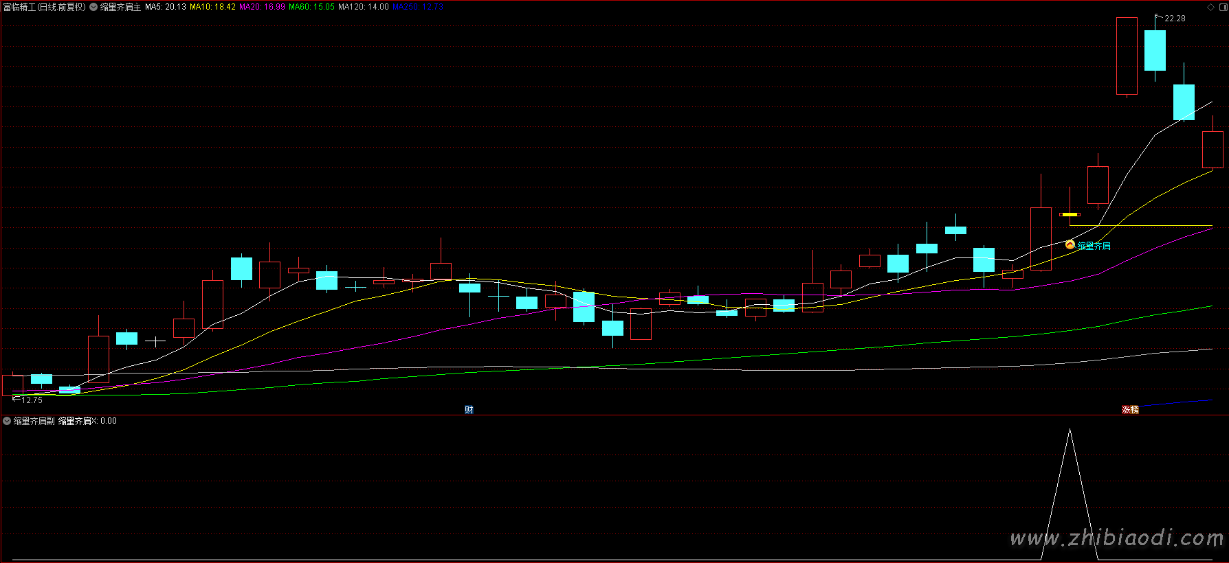 倍阳次日缩量齐肩指标