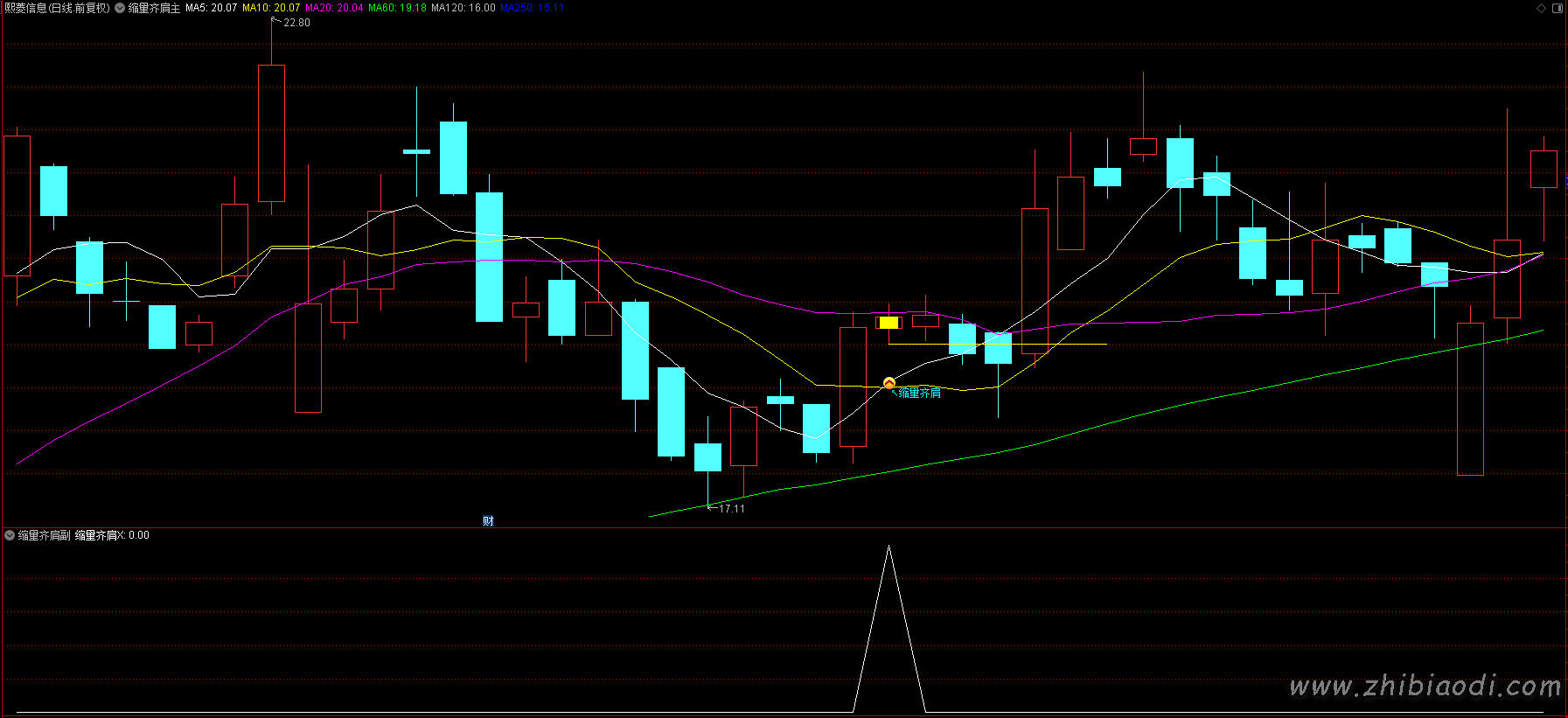 倍阳次日缩量齐肩指标