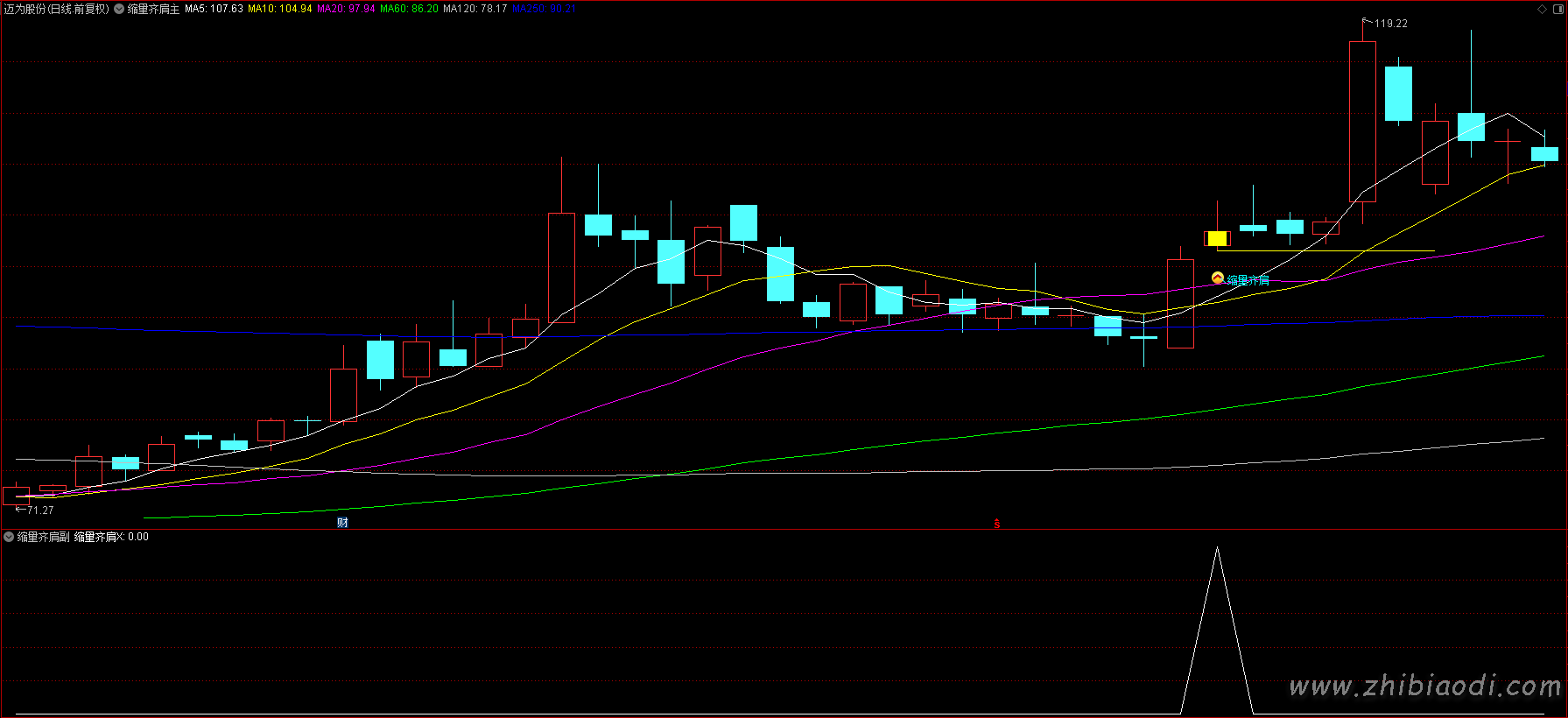 倍阳次日缩量齐肩指标