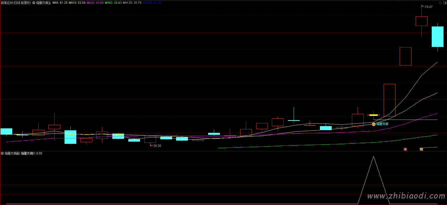 倍阳次日缩量齐肩指标