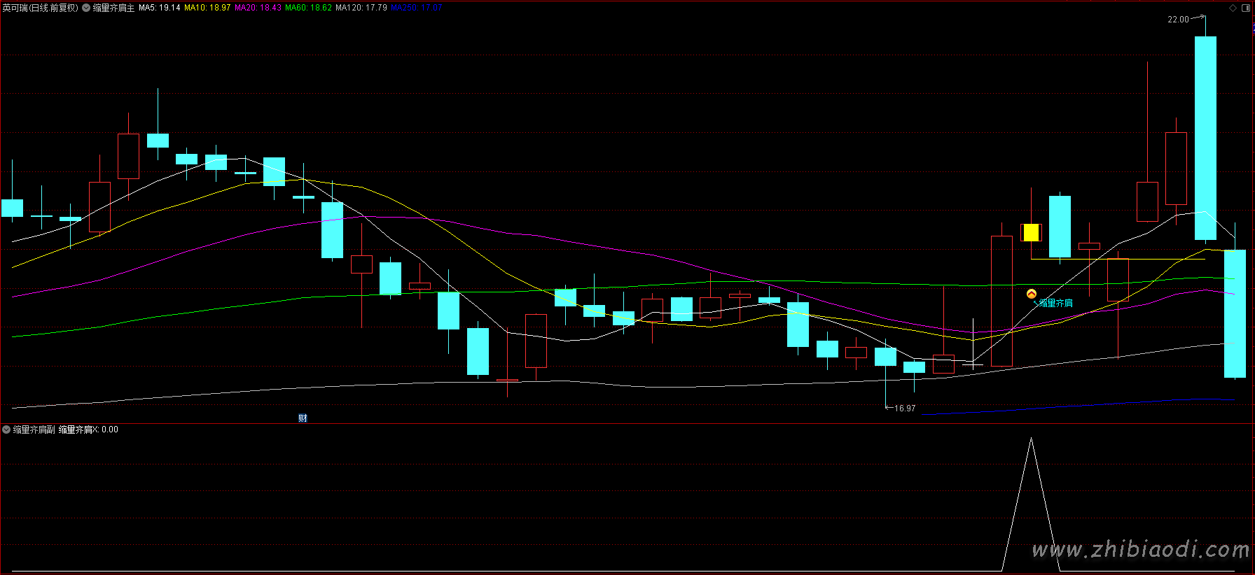 倍阳次日缩量齐肩指标