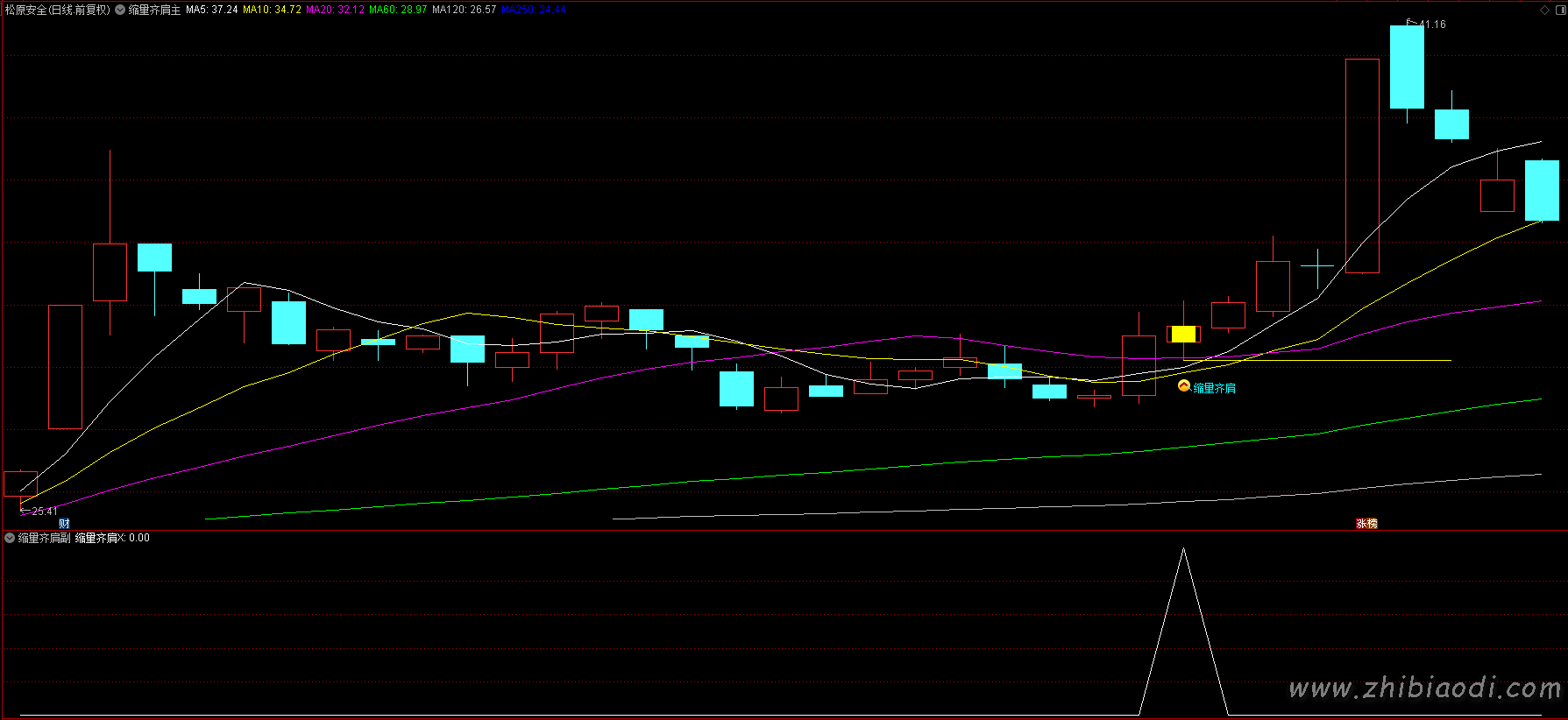 倍阳次日缩量齐肩指标