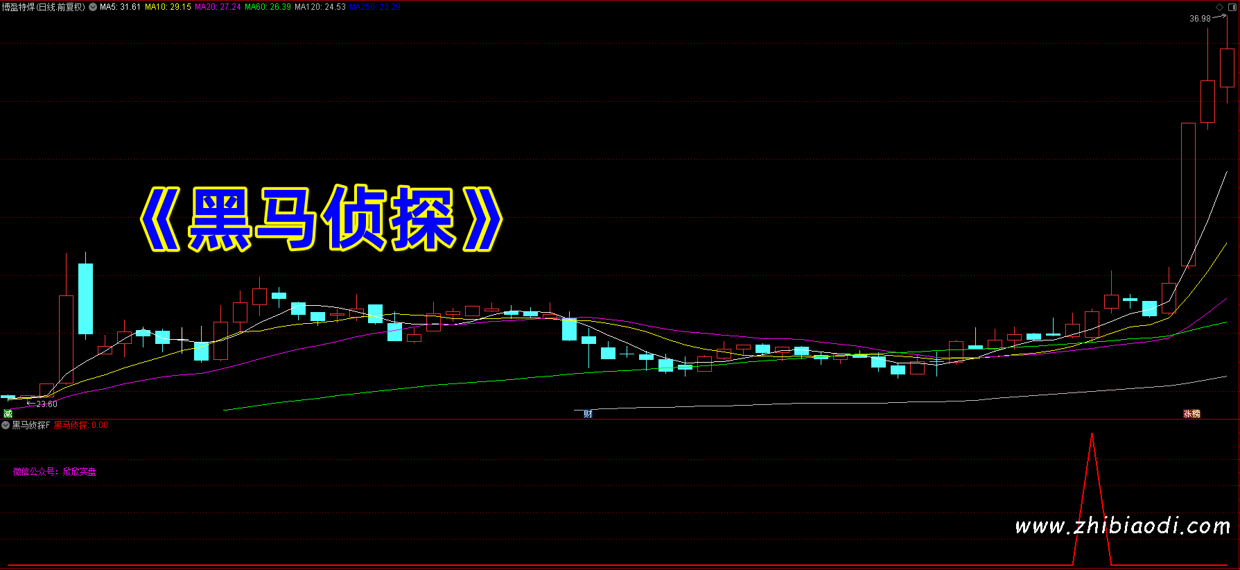 黑马侦探指标 黑马侦探指标