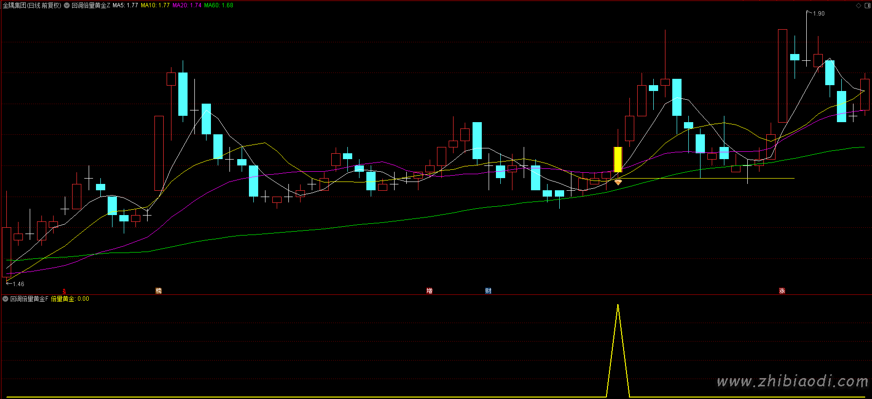 回调倍量黄金指标 回调倍量黄金指标
