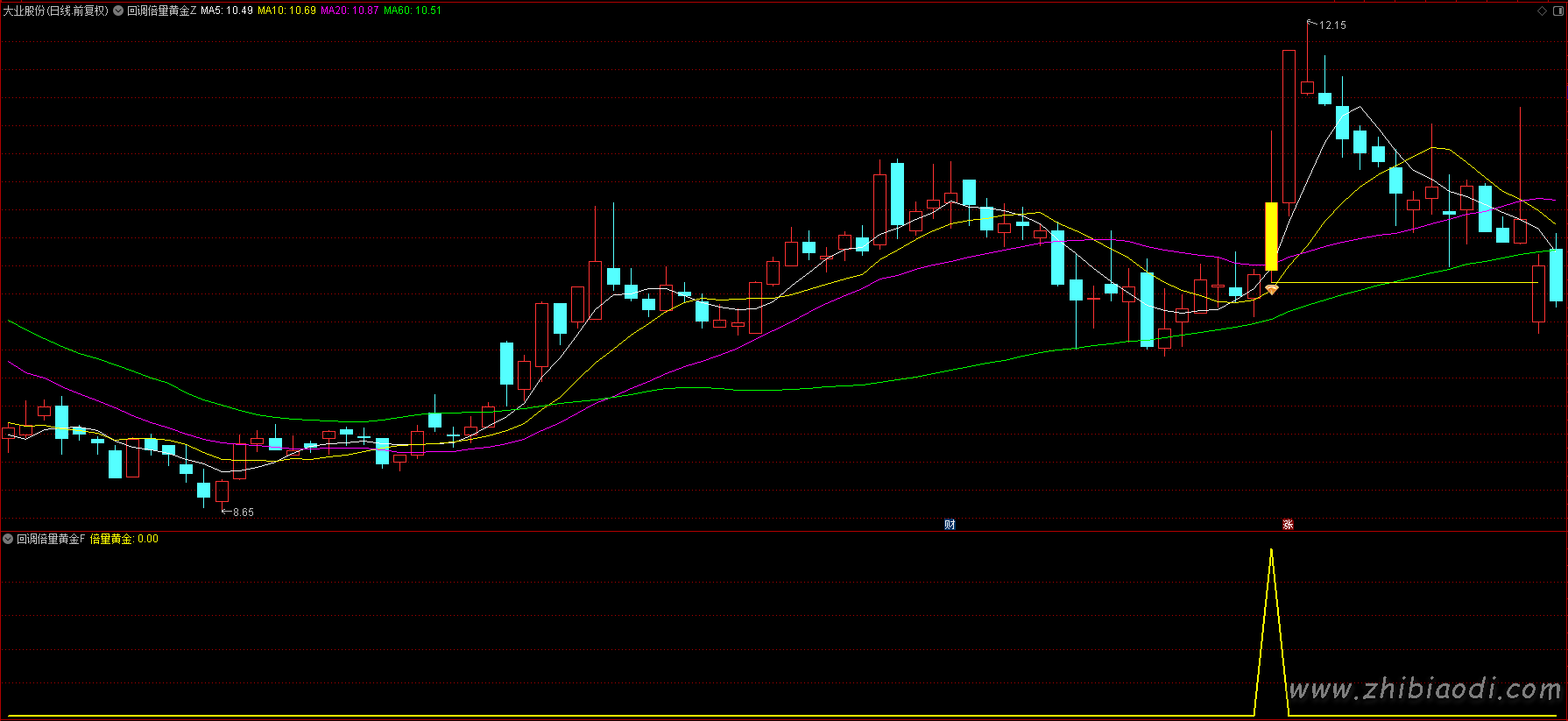 回调倍量黄金指标 回调倍量黄金指标