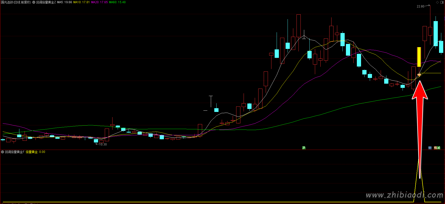 回调倍量黄金指标 回调倍量黄金指标