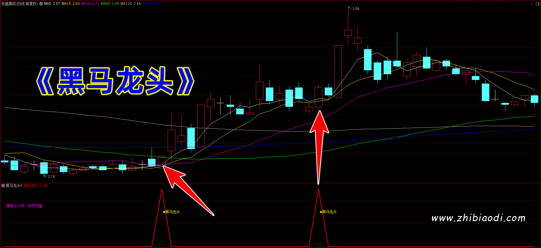 黑马龙头指标 黑马龙头指标