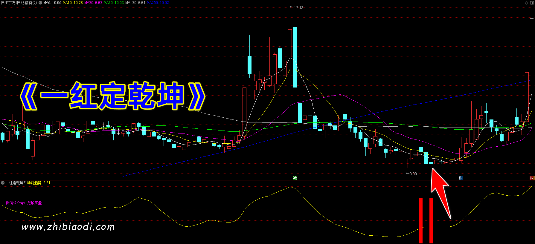 一红定乾坤指标