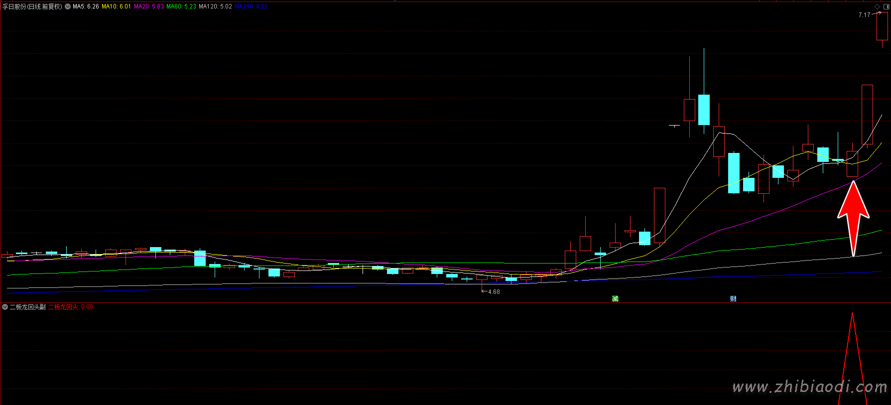 二板龙回头指标 二板龙回头指标