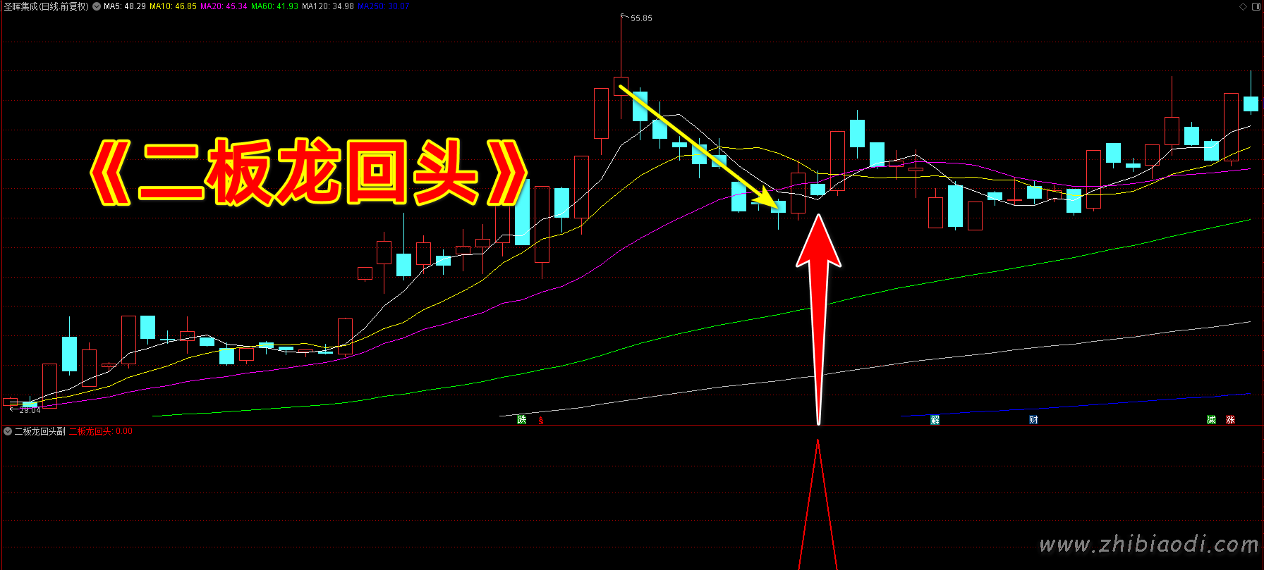 二板龙回头指标 二板龙回头指标