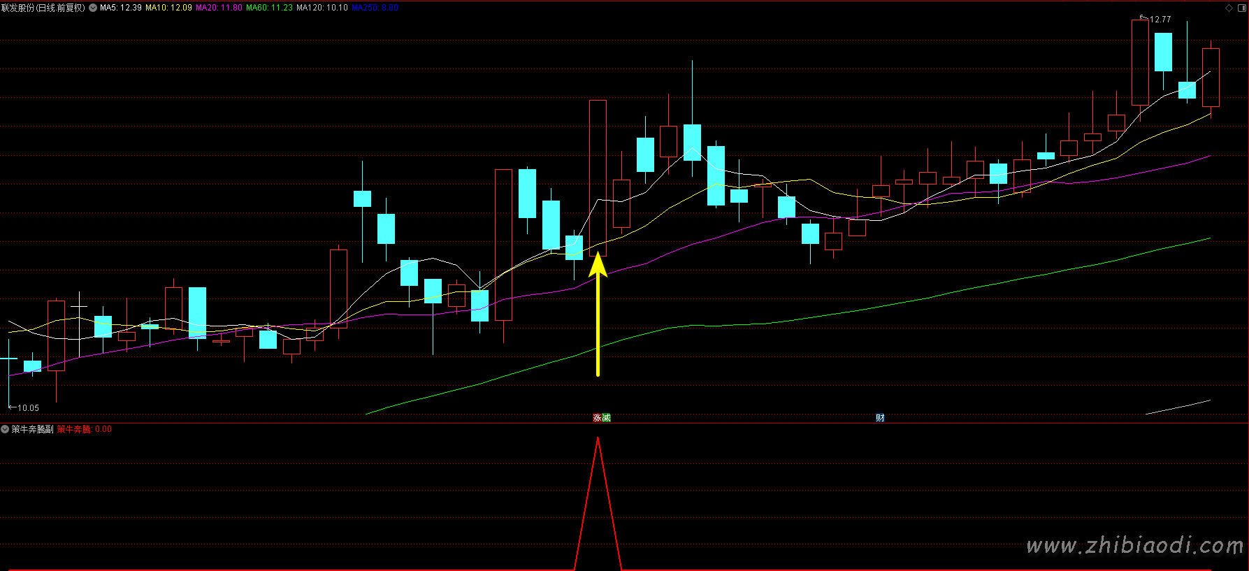 策牛奔腾指标 策牛奔腾指标